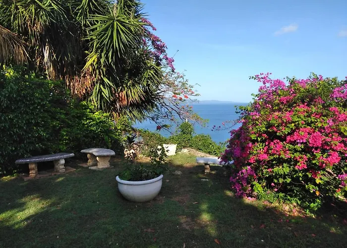 Irresistible View-mobay Club 1408 * Montego Bay