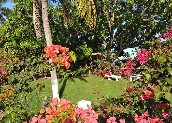 Irresistible View-mobay Club 1408 * Montego Bay