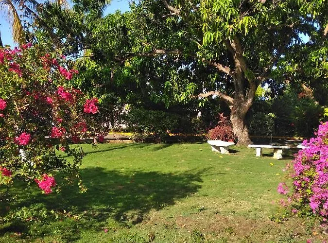 Irresistible View-mobay Club 1408 * Montego Bay