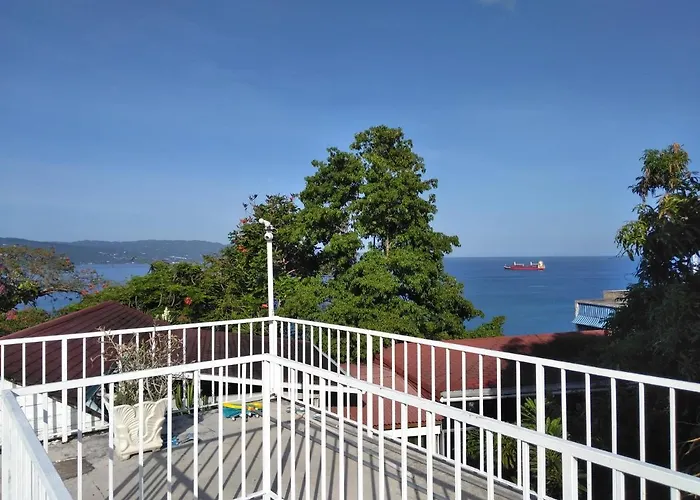 Irresistible View-mobay Club 1408